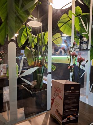  at Koku Sushi in Szczecin