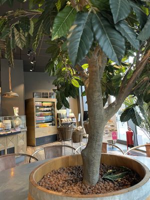 Espresso House, Berlin  at Espresso House - Karl-Liebknecht in Berlin