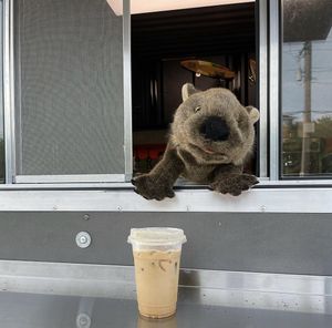 #FatsotheWombat recommends the Iced Oatmilk Latte w/Hazelnut 🧊☕️ at Roots & Leaves in Buxton