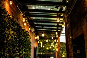 Courtyard Lights at The Tipsy Cow - Malt & Vine in Port Melbourne