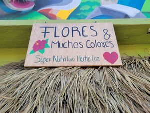 Signage at Flores & Colores in Sayulita