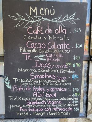 Menu at Flores & Colores in Sayulita