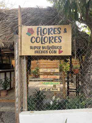   at Flores & Colores in Sayulita