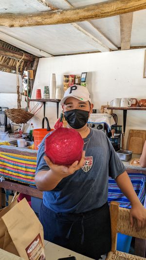 They have beets, ginger, orange juice very tasty at Flores & Colores in Sayulita