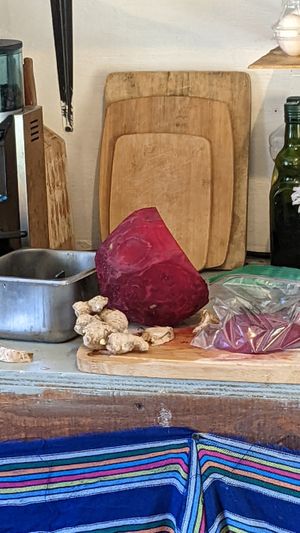  at Flores & Colores in Sayulita