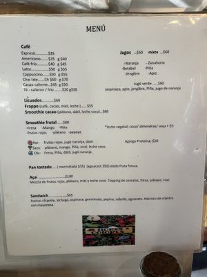 MENU  at Flores & Colores in Sayulita