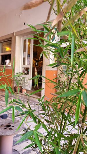  at Augusto Specialty Coffee Shop in Rovinj