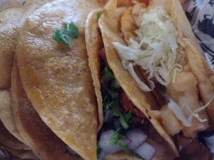 Jackfruit Birria and Potato Taco at Birria El Gordo in Marietta