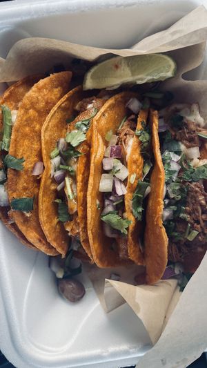 Jackfruit birria tacos w/ vegan cheese  at Birria El Gordo in Marietta