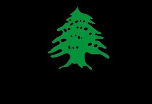 Logo at Tabouleh in Ghent