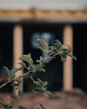 Summer view at MIZU in Luxembourg City