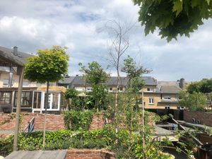 MIZU urban garden view at MIZU in Luxembourg City