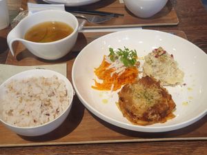 Lasagna, carrot rappe, potato salad, miso soup, rice (approx 1500 yen) at Plant Based Tokyo in Tokyo