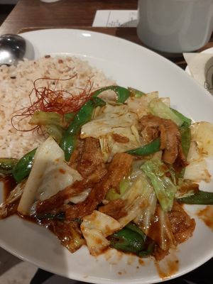 Pork and rice at Plant Based Tokyo in Tokyo