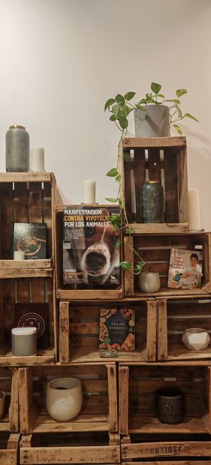  at Delish Vegan Doughnuts - Malasaña in Madrid