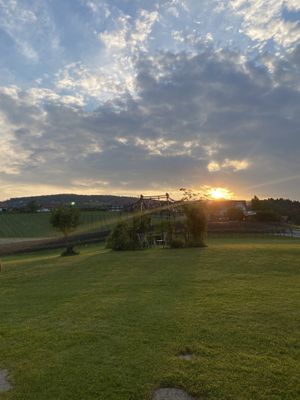 Tolle Sonnenuntergangsstimmung at Trapl Weingut in Lemsitz