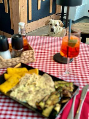 We love dogs! at Vegitalian in Salzburg