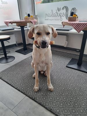  at Vegitalian in Salzburg