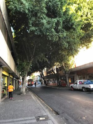   at Alta Fibra in Guadalajara