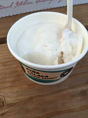 Vegan ice cream 🍦 at Jupiter Moon Ice Cream in St Cloud