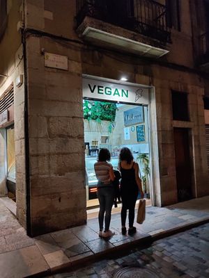 Vegan friendly at Madonna Gelateri in Girona