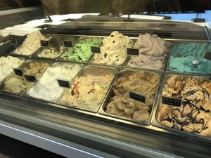 Vegan flavours  at Madonna Gelateri in Girona