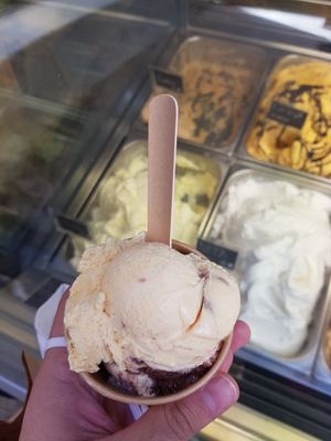 Small Gelato at Madonna Gelateri in Girona