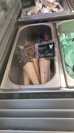 Vegan chocolate ice-cream cones at Madonna Gelateri in Girona