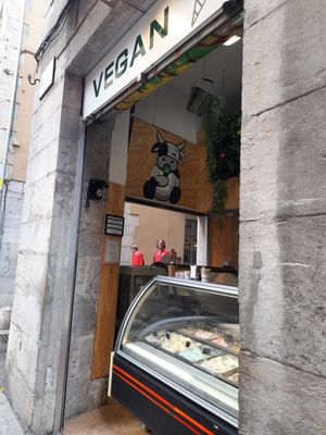 Front at Madonna Gelateri in Girona