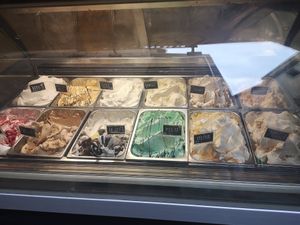 All vegan including mint chocolate at Madonna Gelateri in Girona