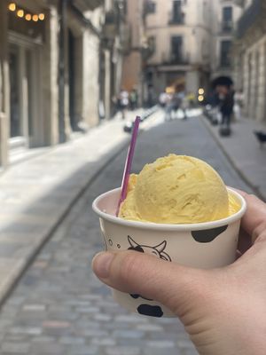   at Madonna Gelateri in Girona