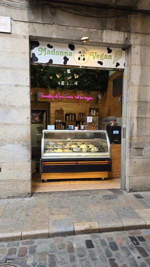 Counter at Madonna Gelateri in Girona