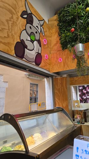  at Madonna Gelateri in Girona