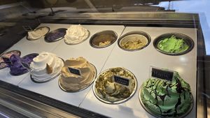 Counter at Madonna Gelateri in Girona