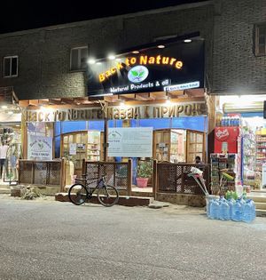 Outside  at Back to Nature in Dahab
