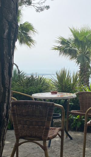   at Moinho Dom Quixote in Colares