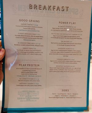 Menu page at Spring Cafe Aspen at Spring Cafe Aspen in New York City