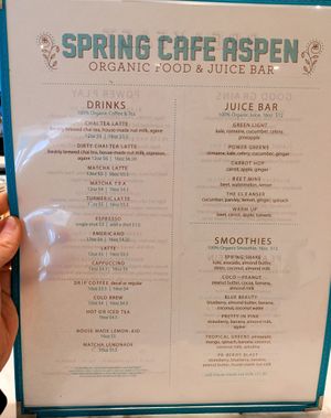 Menu page at Spring Cafe Aspen at Spring Cafe Aspen in New York City