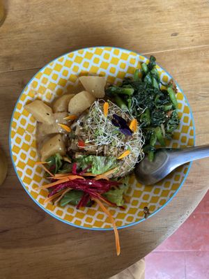Fried rice with oyster mushrooms, spinach, coconut curry sauce with potatoes   at Casa Jasmine in San Cristobal De Las Casas