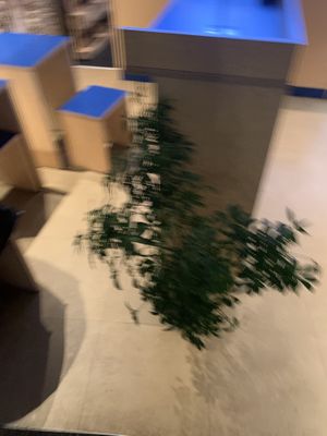   at Eden Jaxx - Købmagergade in Copenhagen