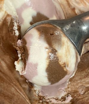 The Vegan Stuff™ Tropical Neopolitan at The Vegan Stuff - Online in Beacon