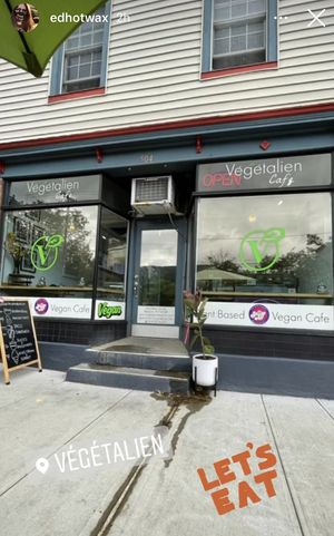 Love the new window treatments! Looks great at The Vegan Stuff - Online in Beacon