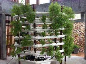 Fresh herbs growing hydroponically in the restaurant at Amala at Prana in Koh Samui