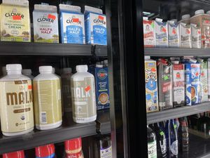 More vegan milks/creamers at Mainland Market Co in San Francisco