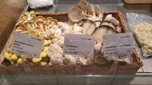 One of few places where you can buy lion's mane mushroom at BachserMärt in Zurich