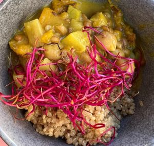 Curry with quinoa and lentils  at Nowhere in Milan