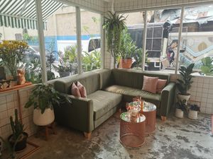 Vibe at Kappra Cafe in Bangkok