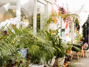 An outdoor space for if you’re feeling the sun - the Kappra garden is the place to be at Kappra Cafe in Bangkok