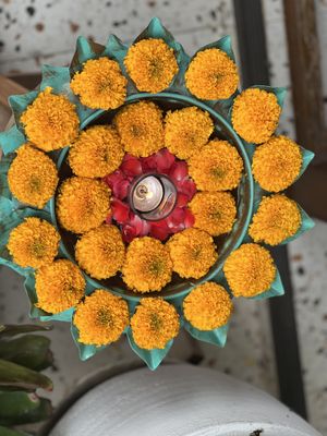   at Kappra Cafe in Bangkok