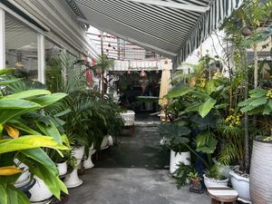   at Kappra Cafe in Bangkok